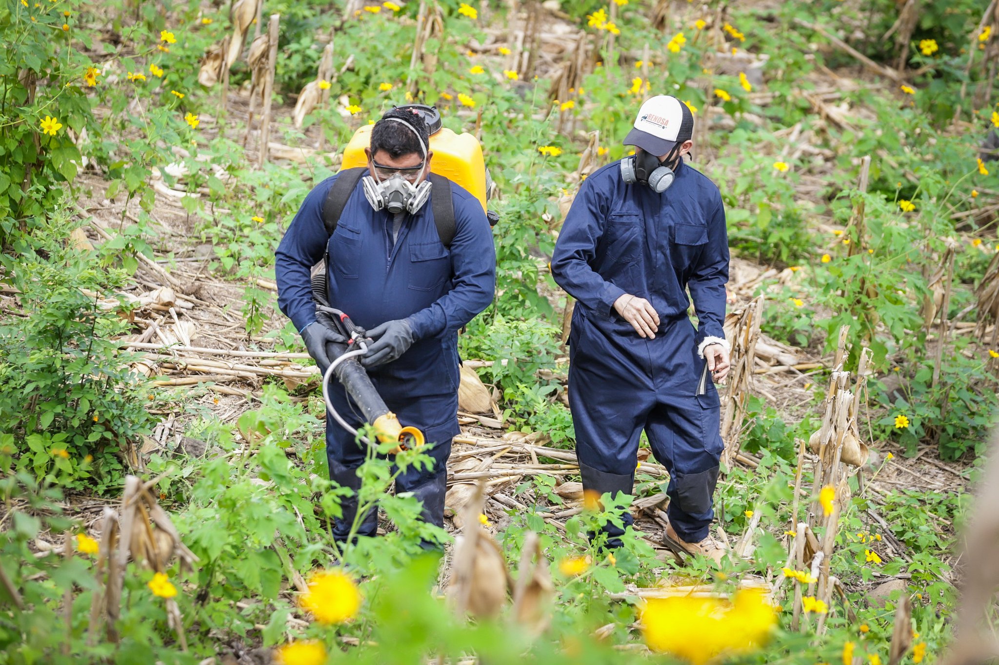 Agricultores del cantón Planes de La Laguna son beneficiados con entrega de insecticidas agricultores-del-canton-planes-de-la-laguna-son-beneficiados-con-entrega-de-insecticidas
